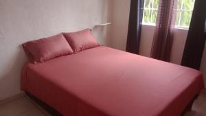 um quarto com uma cama rosa e uma janela em Casa con Alberca en Ixtapa Zihuatanejo Internet em Ixtapa