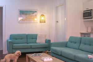 a living room with two blue couches and a dog at Yamba Daze Sunset in Yamba