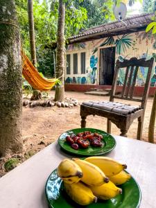 two plates of bananas on a table with a chair at Catch The Ella Train Hostel in Kandy