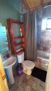 y baño con aseo, lavabo y ducha. en Alojamiento turístico WiFi, en Panguipulli