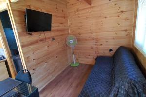 Habitación con cama, TV y ventilador. en Alojamiento turístico WiFi, en Panguipulli