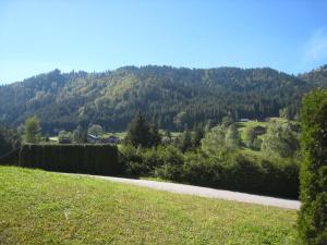 a road in a field with a mountain in the background at Studio La Clusaz, 1 pièce, 4 personnes - FR-1-459-120 in La Clusaz