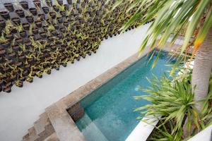 Bazén v ubytování The Drupadi Apartments Studio Peka nebo v jeho okolí + 5 fotografií