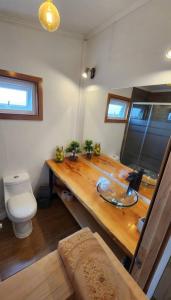 a bathroom with a counter with a toilet and a sink at Cabaña / loft in Puerto Montt