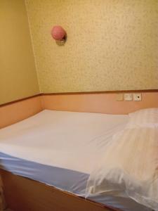 Voodi või voodid majutusasutuse 嘉湖旅館 toas