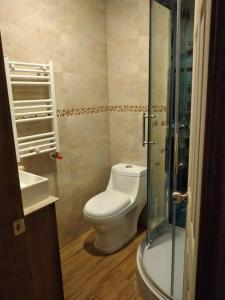 a bathroom with a toilet and a glass shower at Cabañas Angamos in Punta Arenas