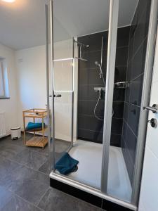 y baño con ducha y puerta de cristal. en Ferienwohnung Oberursel, en Oberursel