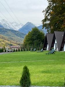 a group of chairs in a field with mountains in the background at Căsuțele de sub pădure in Avrig