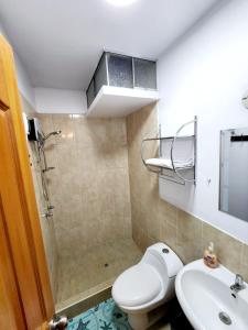 La salle de bains est pourvue d'une douche, de toilettes et d'un lavabo. dans l'établissement Departamento familiar en Huacachina, à Ica