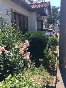 uma casa com um arbusto com flores cor-de-rosa à frente em Das SP Hotel em Fürth