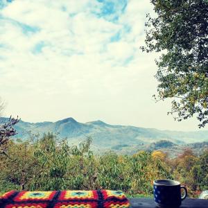 Gallery image of Apusenia - darul naturii in Tarniţa