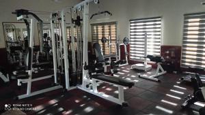 Fitness centrum a/nebo fitness zařízení v ubytování Hibis By Sparsa