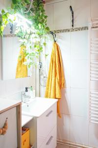 Ванная комната в Charmant studio lumineux, minimaliste et végétal