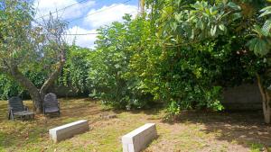 Vonkajšia záhrada v ubytovaní Spacious House with Garden in Touro – Family-Friendly