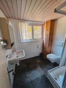 baño con lavabo y aseo y ventana en Hotel Bergsonne Rigi, en Rigi Kaltbad