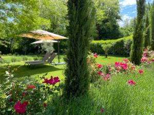 Zahrada ubytování Mulino in Chianti