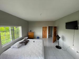 a bedroom with a bed and a flat screen tv at The Retreat in Lyssons