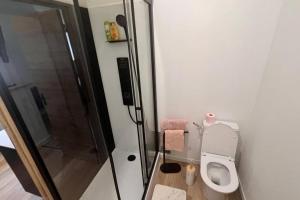 a small bathroom with a toilet and a shower at Les Appart'Hôtels Du Calaisis - 201 Skully - Hyper centre & Proche plage in Calais
