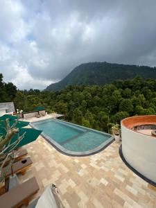 una piscina con vistas a la montaña en Munduk Kupang Sekumpul Villa, en Singaraja