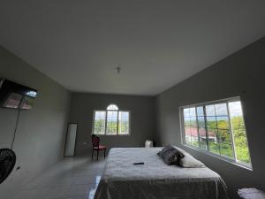 1 dormitorio con 1 cama y 2 ventanas en The Retreat, en Lyssons