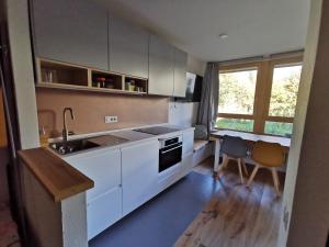 Köök või kööginurk majutusasutuses A 2 passi dagli impianti