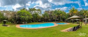 einen Pool in einem Park mit Bäumen und Sonnenschirmen in der Unterkunft Kruger Park Lodge Unit No 441 with Private Pool in Hazyview