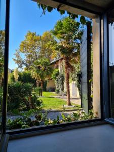 uma janela com vista para uma palmeira a partir de uma casa em Lyon Faubourg - Saint Priest em Saint-Priest