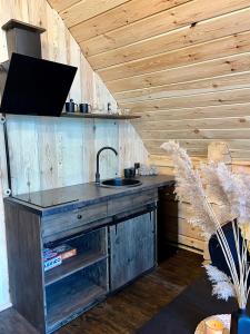 a kitchen with a sink and a wooden wall at Labieši in Jūrmala