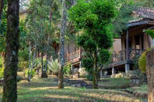 Κήπος έξω από το ijen resto & guest house