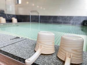 鯖江市にある鯖江第一ホテルのカウンターに2本の飲料用管が備わるプール