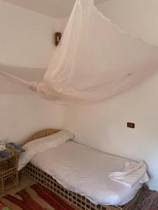 Cama en habitación con mosquitera en Shamofs Farm en Siwa