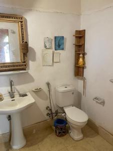 a bathroom with a toilet and a sink and a mirror at Shamofs Farm in Siwa