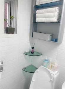 a bathroom with a toilet with two glass shelves at BlueMoon 2Bedroom 1Toilet in Seoul