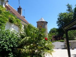 Vonkajšia záhrada v ubytovaní Gîte de la tour de Loire - 65 m2 au pied d'une tour de gué du 17ème siècle