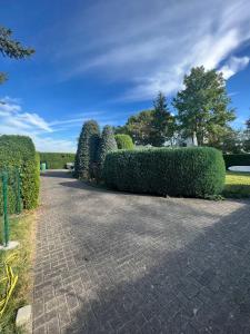 una fila di siepi accanto a una passerella di Haus Elli 