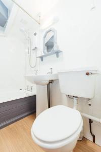 a bathroom with a white toilet and a sink at The Stable at Clauchan Holiday Cottages in Gatehouse of Fleet
