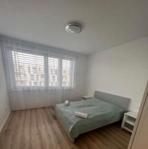 Bazova apartment with free parking tesisinde bir odada yatak veya yataklar