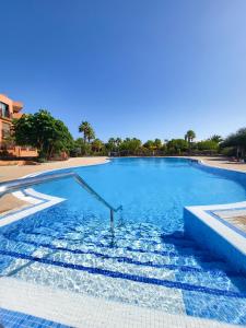 una gran piscina con agua azul y árboles en MEDANO4YOU Garden Xu en La Tejita
