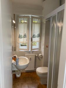 een badkamer met een wastafel, een toilet en ramen bij Suite Neve in Madesimo