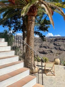 a stairway with a palm tree and a chair at Villas La Gomera in Alajeró