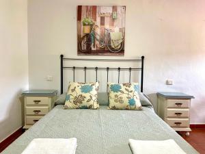 1 dormitorio con 1 cama con 2 mesitas de noche y una pintura en bicicleta en Casa Los Kikos By Solymar Holiday, en Alcaucín