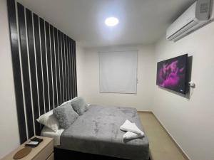 TV a/nebo společenská místnost v ubytování Hermoso apartamento para descansar en familia