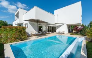 Πισίνα στο ή κοντά στο Luxury Villa Kate with pool in Zminj