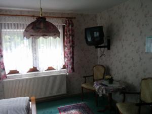 a living room with a tv and a window at Hotel Seemöwe in Simmerath