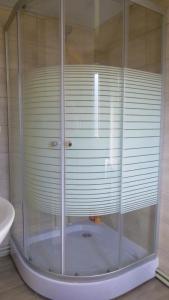 um chuveiro com uma caixa de vidro na casa de banho em Pid lisochkom em Verkhovyna