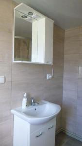 ein Badezimmer mit einem weißen Waschbecken und einem Spiegel in der Unterkunft Pid lisochkom in Werchowyna
