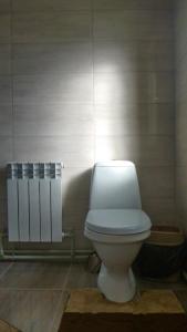 ein Bad mit einem weißen WC in einem Zimmer in der Unterkunft Pid lisochkom in Werchowyna