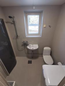 um banheiro com vaso sanitário, pia e janela em Ounasvaara Arctic Suite em Rovaniemi mais 8 fotografias