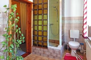 a bathroom with a shower and a toilet in it at Ferienwohnung an der Drei-Kaiser-Eiche in Freest