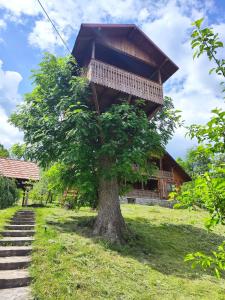 une cabane dans les arbres au sommet d'un arbre dans l'établissement La sat, à Bertea